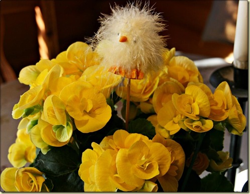 easterblomster