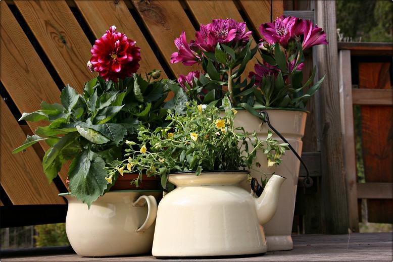 [flowerpots[3].jpg]