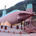 Warship Pavilion at Anin 2026-07.JPG, In September 1996, a North Korean submarine got stranded on some underwater rocks here in Anin South Korea forcing the crew to get out and try to return to North Korea. This prompted a deadly manhunt that lasted over a month (25 of the 26 crew members were shot dead and the South Korean casualties, civil and military, tallied 17). Seeing inside the submarine one really wonders how 26 people could have fit in such a cramped space – let alone live., South Korea-Jeondongjin; Sun Cruise Resort/Park, Time Story Museum and Warship Paviion