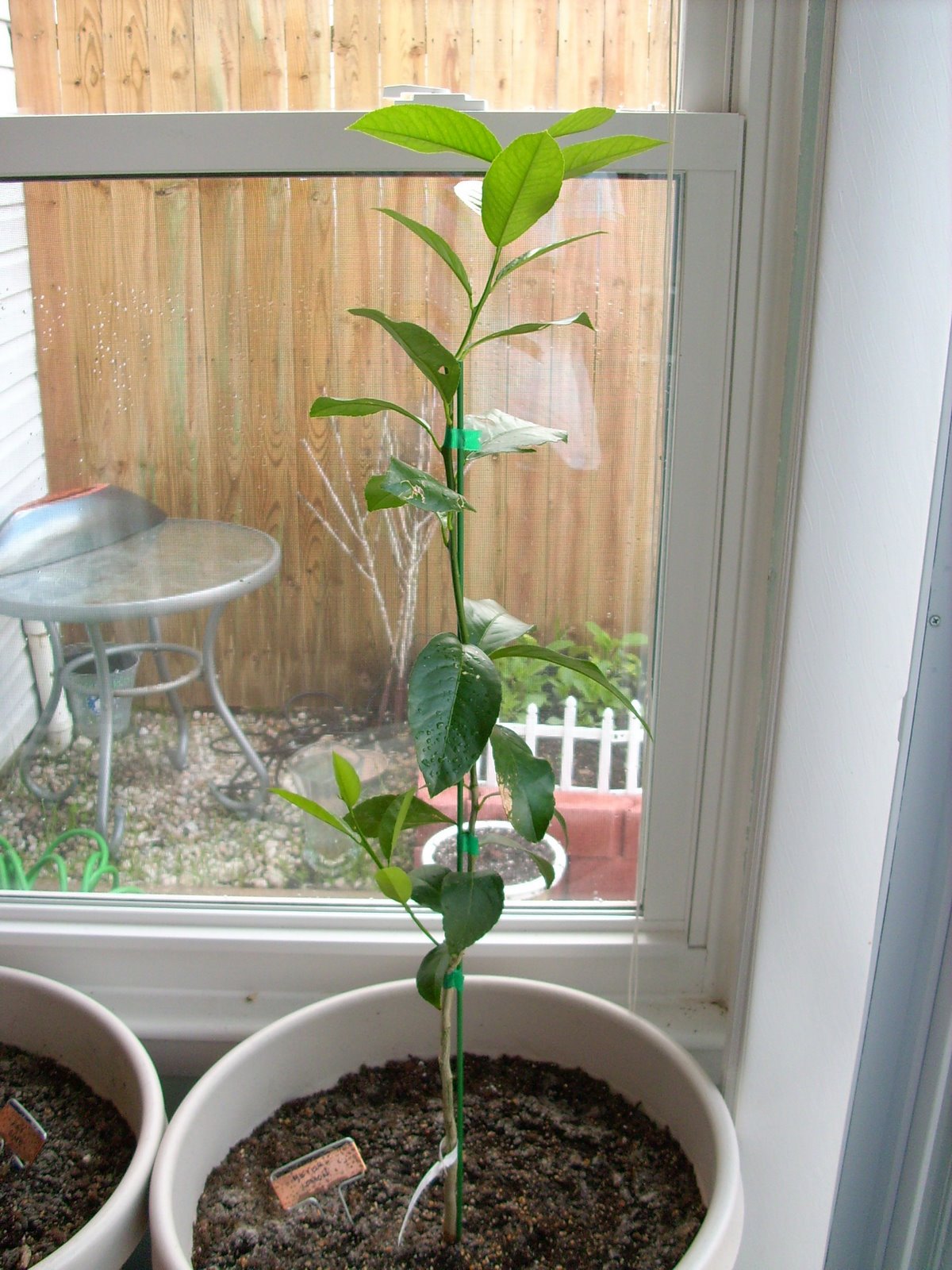 [garden0137.jpg]