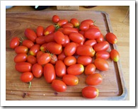 garden 002