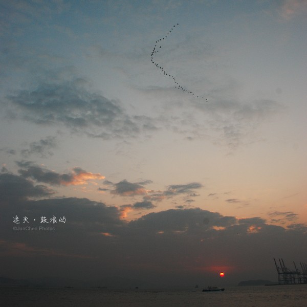 大雁©JunChen Photos