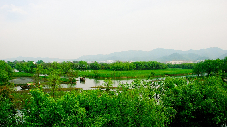 西溪湿地©JunChen Photos