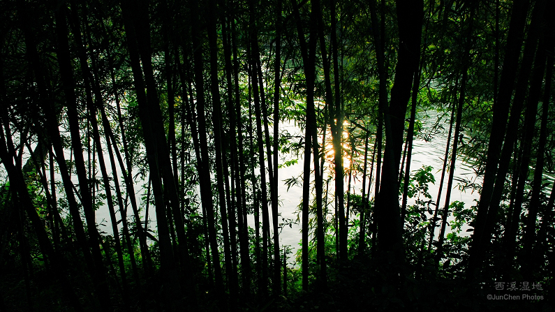 西溪湿地©JunChen Photos