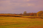 IMGP5341.JPG