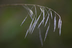 IMGP4873.JPG
