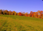 IMGP5208-1.JPG