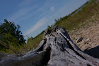 IMGP3944.JPG