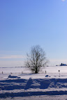 IMGP8487.JPG