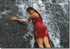 Poonam bhajwa swimsuit pics 8