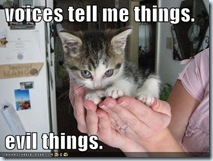 cat 17