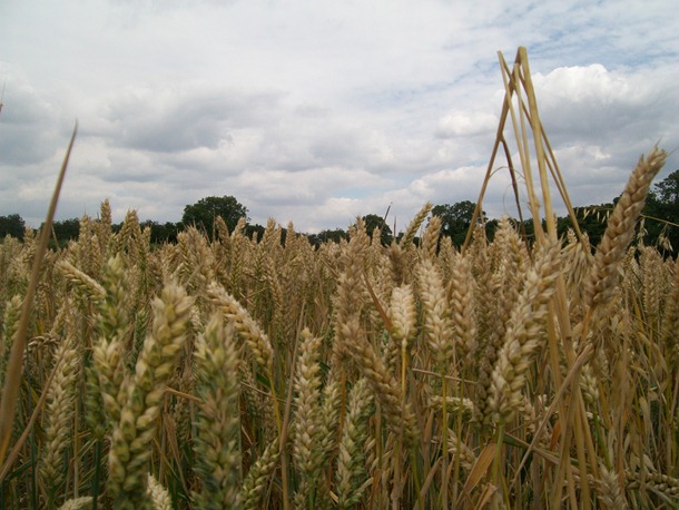 [100_3312[6].jpg]