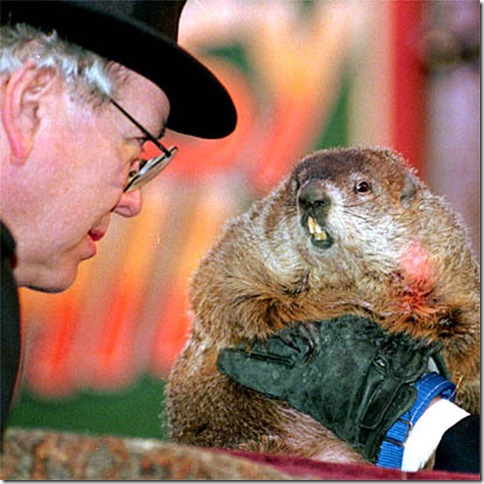 punxsutawney_phil1