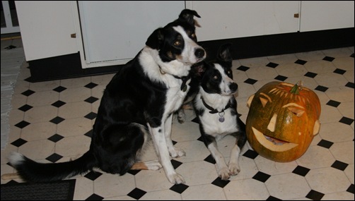 bookendshalloween[3]