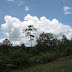 Picture%20066