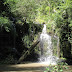 Picture%20070