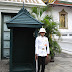 Picture%20037