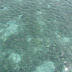 Picture%20034