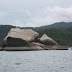 Picture%20029