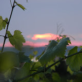 DSCN4002.JPG