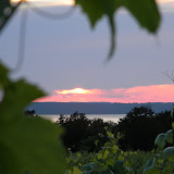 DSCN4005.JPG