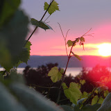 DSCN4009.JPG