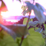 DSCN4015.JPG