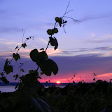 DSCN4017.JPG