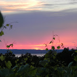 DSCN4022.JPG