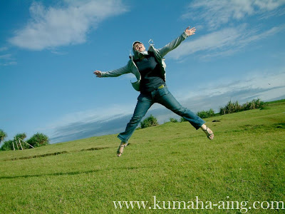 Fly at padang rumput