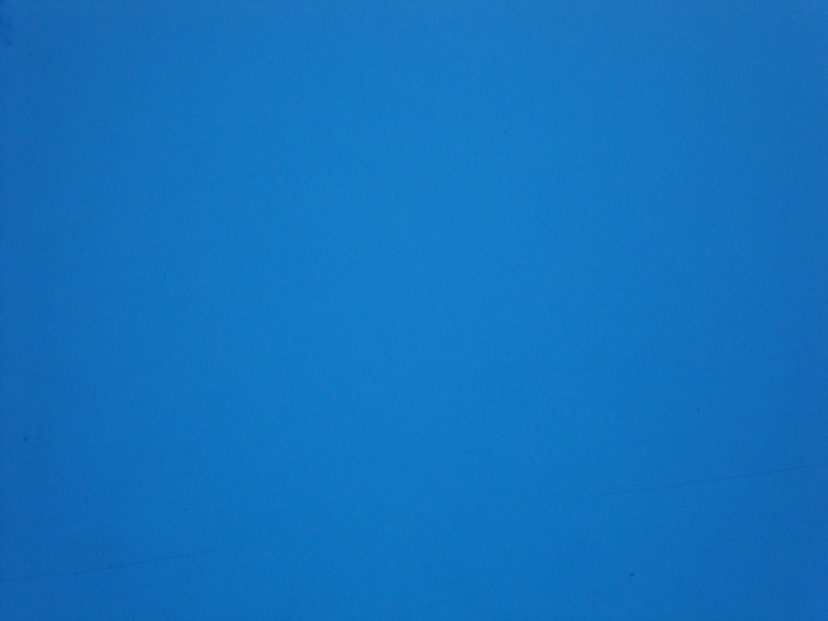[Bleu Gildan[6].jpg]