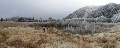 hoar-frost-2.jpg