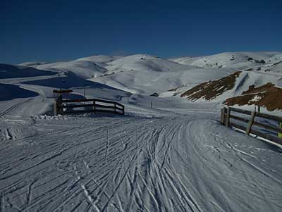 snow-farm-1.jpg