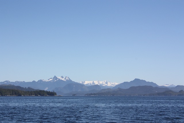 [IMG_45793.jpg]