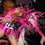 DSC_9815.jpg