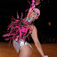 DSC_0178.jpg
