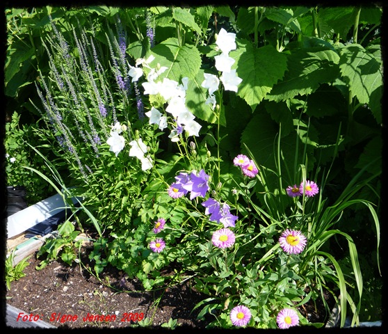 [04.08.2009 003[9].jpg]