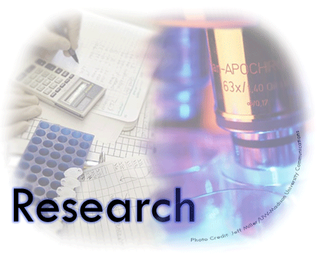 [Researchlead2.gif]