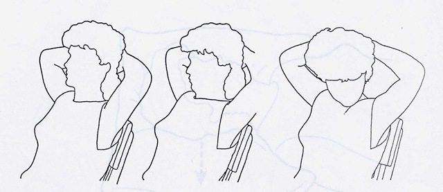 [Chin-chest[2].jpg]