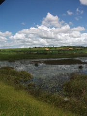 DSCF1102