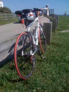 Jamis Ventura Race rear view