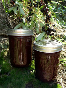 Chokecherry Jelly