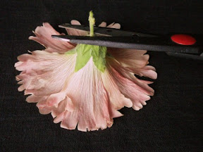 Prepare Hollyhock Body
