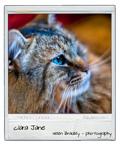 [clara[4].jpg]
