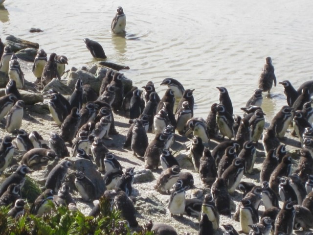 [IMG_0117640x4803.jpg]
