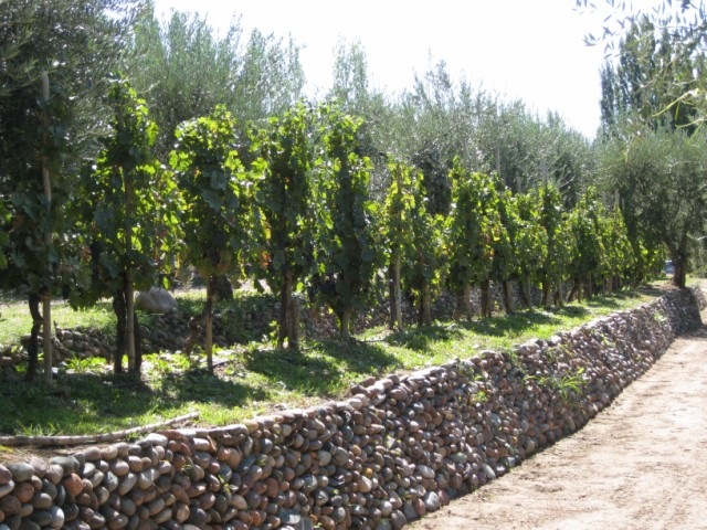 [IMG_1896640x480.jpg]