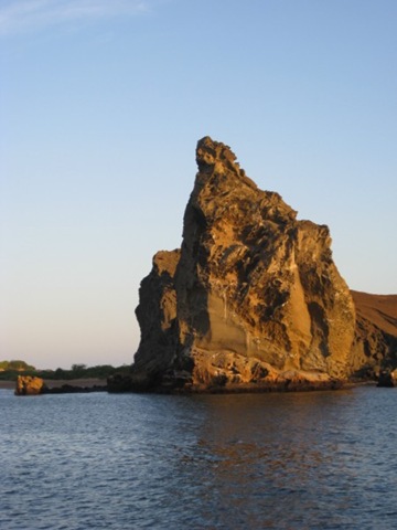[IMG_1316800x6005.jpg]