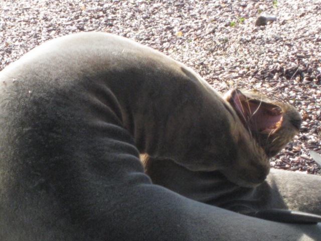 [IMG_1019800x600.jpg]