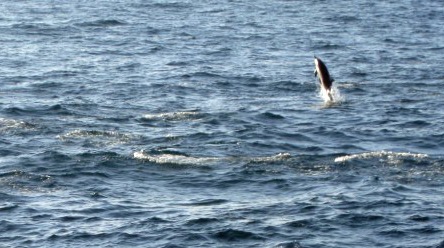 [IMG_1091800x6006.jpg]