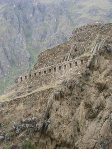 [IMG_2014800x6002.jpg]